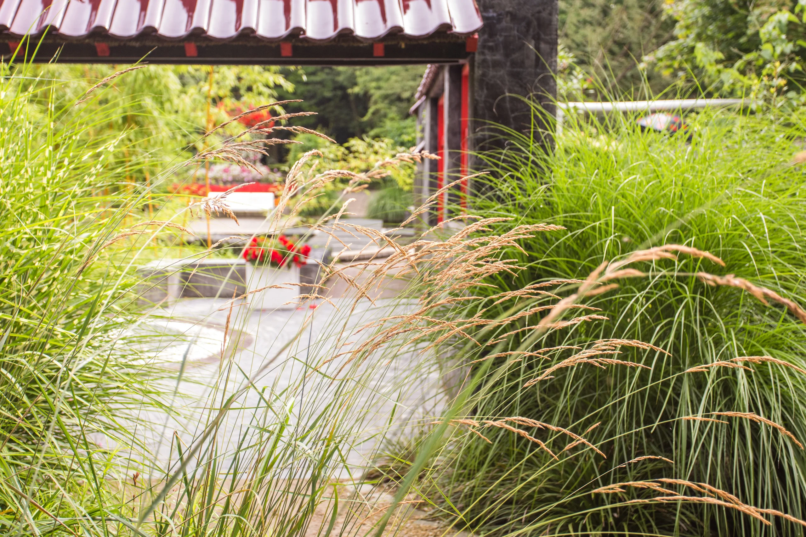 Der Japanische Garten im Wandel der Jahreszeiten